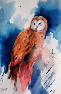 Coruja Majestosa em Aquarela de Giorgio Gosti