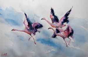 Flamingos-rosa a voar