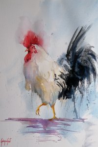 Galo Orgulhoso - Aquarela de Giorgio Gosti