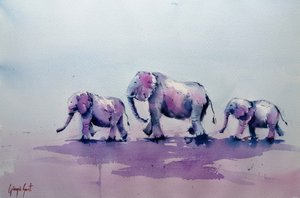 Família do Elefante Roxo