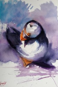 Retrato de um papagaio-do-mar roxo de Giorgio Gosti