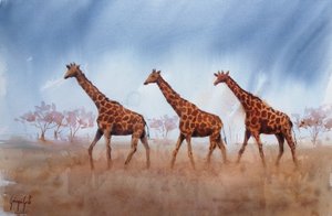 Trio de girafas do Safari de Giorgio Gosti