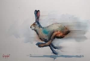 Liebre em aquarela a toda a velocidade