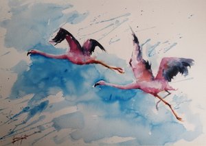 Voo vibrante dos flamingos de Giorgio Gosti