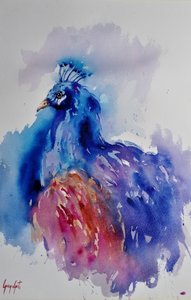 Pavão em aquarela vibrante de Giorgio Gosti