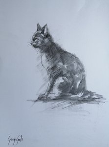 Gato de carvão vigilante de Giorgio Gosti