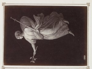 Fotoreprodução de uma estampa, provavelmente representando uma figura feminina com um ramo e uma espada na mão