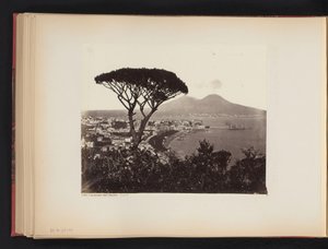 Vista de Nápoles, Itália, com um pinheiro em primeiro plano
Panorama dal Vomero Napoli (título sobre o objecto) de Giorgio Sommer
