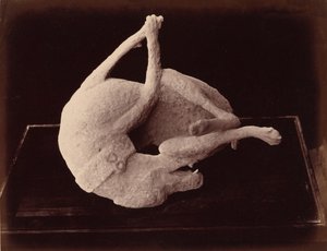 Elenco, Pompeia, c. 1870 (foto) de Giorgio Sommer
