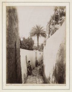Mulheres e crianças numa viela em Capri de Giorgio Sommer