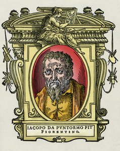 Retrato de Jacopo (Iacopo) Carrucci disse il Pontormo (Pontormo) (1494-1556) pintor italiano. Gravura do deleite "" Vidas dos mais excelentes pintores, escultores e arquitetos "" (Le Vite de