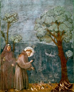 Episódio da vida de São Francisco de Assis (São Francisco): "A predicação das aves" Fresco de Giotto (Ambrogio di Bondone)