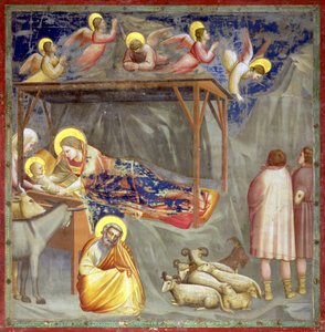 A Natividade, Capela da Arena, Pádua, c.1305 (fresco) (para pormenores, ver 65207)