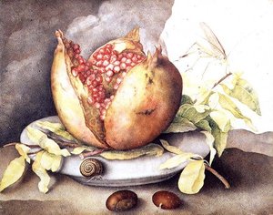 Romã com Castanhas