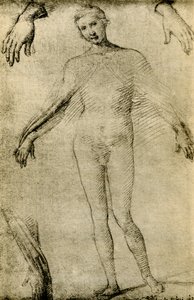 Estudo Modelo para uma Virgem Maria como mater misericordiae de Giovanni Antonio Bazzi Sodoma