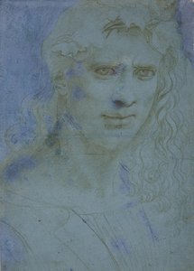 Busto de jovens coroado de espinhos e brotos de videira, c. 1495 (ponta de metal em papel preparado azul) de Giovanni Antonio Boltraffio