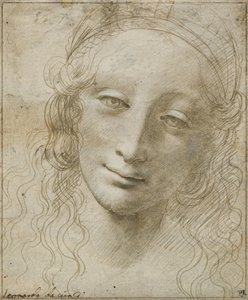 Cabeça de uma mulher de Giovanni Antonio Boltraffio