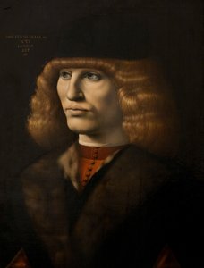 Retrato de um homem jovem, c.1500 (óleo sobre painel) de Giovanni Antonio Boltraffio