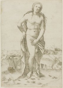 Vênus