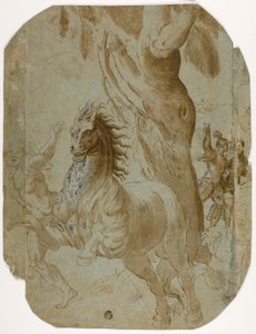 Conversão de São Paulo (reto); Homem visto de trás (verso) de Giovanni Antonio da Pordenone