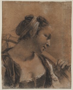 Um retrato de Rosa com uma vara de ombro, c. 1735 de Giovanni Battista Piazzetta