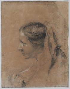 Cabeça de uma mulher de perfil com um lenço de Giovanni Battista Piazzetta