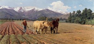 Lavouras de Giovanni Battista Quadrone