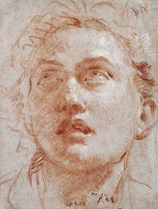 Cabeça de um homem olhando para cima, de Giovanni Battista Tiepolo
