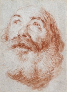 Cabeça de um velho olhando para cima, de Giovanni Battista Tiepolo