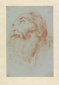 Cabeça de um homem velho de Giovanni Battista Tiepolo