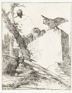 Impressão do título para Scherzi di fantasia com corujas perto de uma pedra Scherzi di fantasia (título da série) de Giovanni Battista Tiepolo