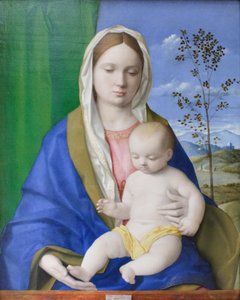 Madona e Menino, c.1500 (óleo sobre painel) de Giovanni Bellini