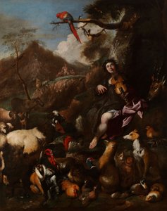 Orfeu cantando aos animais de Giovanni Benedetto Castiglione