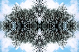Unnatural 100 (foto manipulada digitalmente)