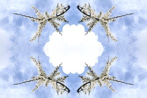 Unnatural 115 (foto manipulada digitalmente) de Giovanni Cafagna