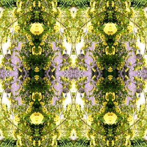 Unnatural 150 (foto manipulada digitalmente) de Giovanni Cafagna