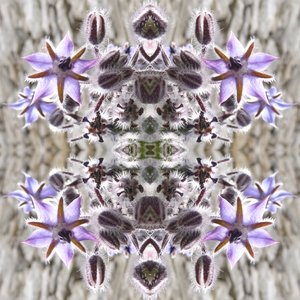 Unnatural 159 (foto manipulada digitalmente) de Giovanni Cafagna
