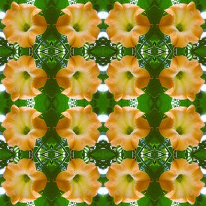 Unnatural 171.1 (foto manipulada digitalmente) de Giovanni Cafagna