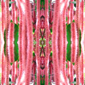 Unnatural 172 (foto manipulada digitalmente) de Giovanni Cafagna