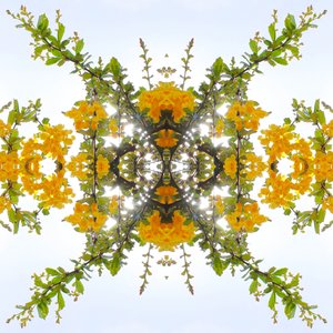 Unnatural 175 (foto manipulada digitalmente) de Giovanni Cafagna