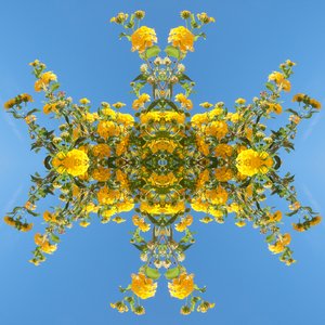 Unnatural 193 (foto manipulada digitalmente) de Giovanni Cafagna