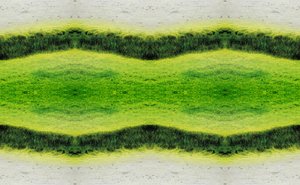 Não-natural 2.1 (foto manipulada digitalmente)