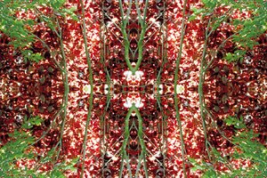 Não-natural 23 (foto manipulada digitalmente) de Giovanni Cafagna