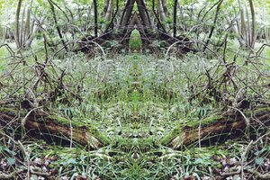 Não natural 33 (foto manipulada digitalmente) de Giovanni Cafagna