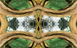 Não natural 37 (foto manipulada digitalmente) de Giovanni Cafagna