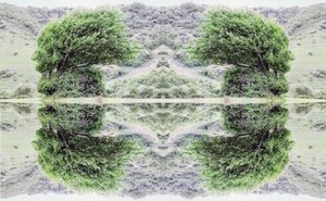 40 não natural (foto manipulada digitalmente)