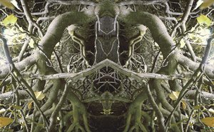 Não-natural 41 (foto manipulada digitalmente) de Giovanni Cafagna