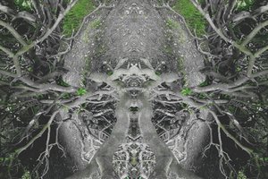 Não-natural 42 (foto manipulada digitalmente)
