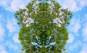 Não-natural 46 (foto manipulada digitalmente) de Giovanni Cafagna