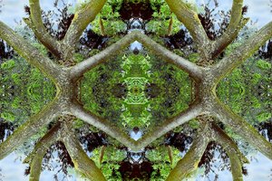 Não-natural 65.2 (foto manipulada digitalmente)
